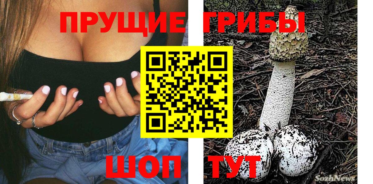 Абинск  Псилоцибиновые грибы ЛСД  Вход с VPN  Галлюциногенные грибы Psilocybine cubensis 