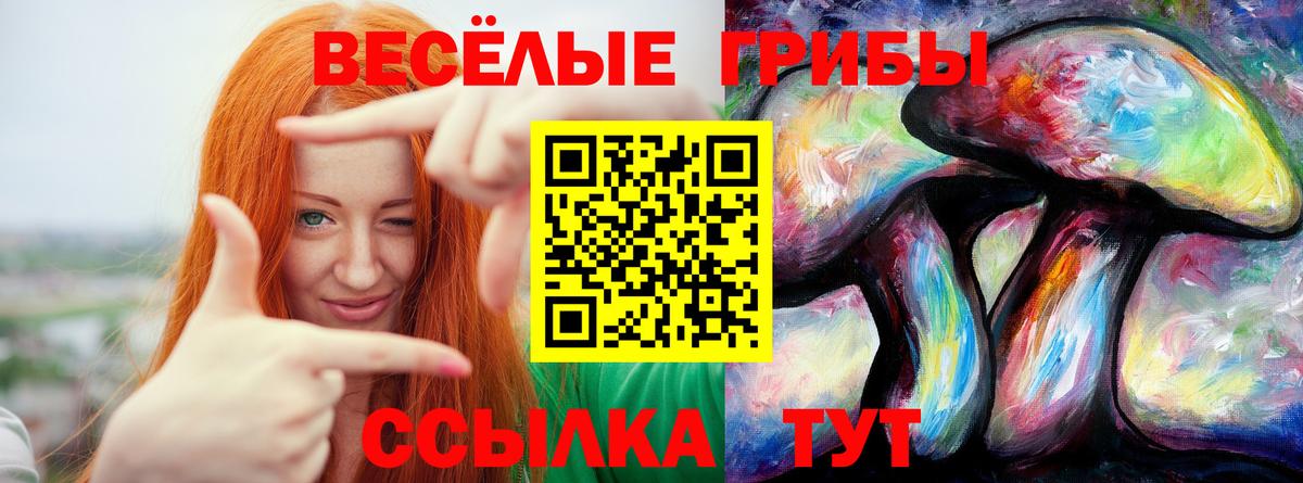 Галлюциногенные грибы прущие грибы Абинск